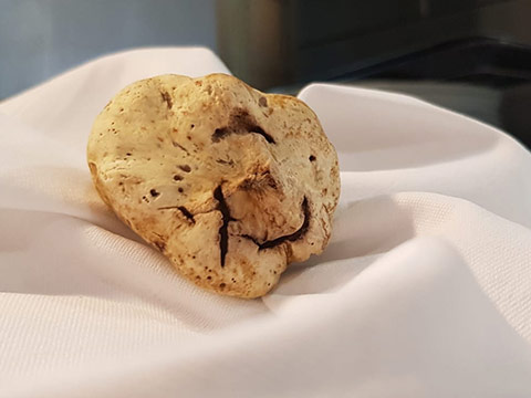 Soirée Truffe Blanche